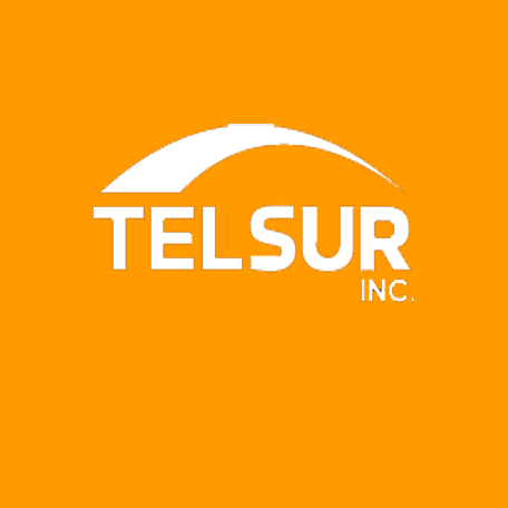 Telsur Inc